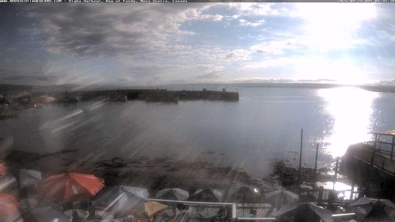 Digby Harbour