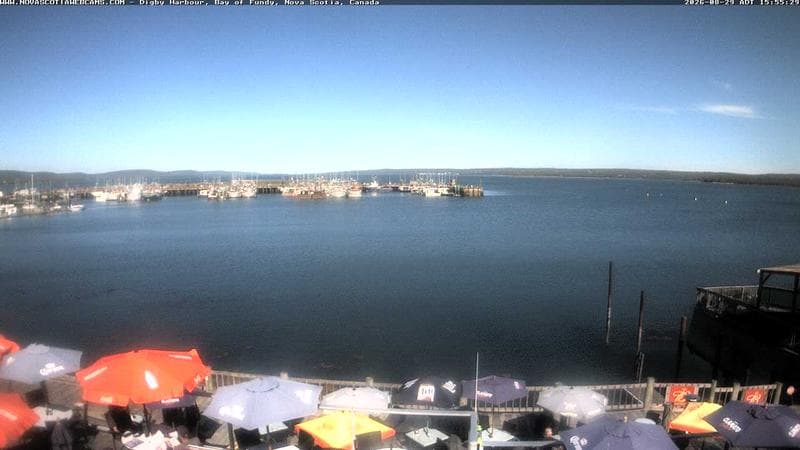 Digby Harbour