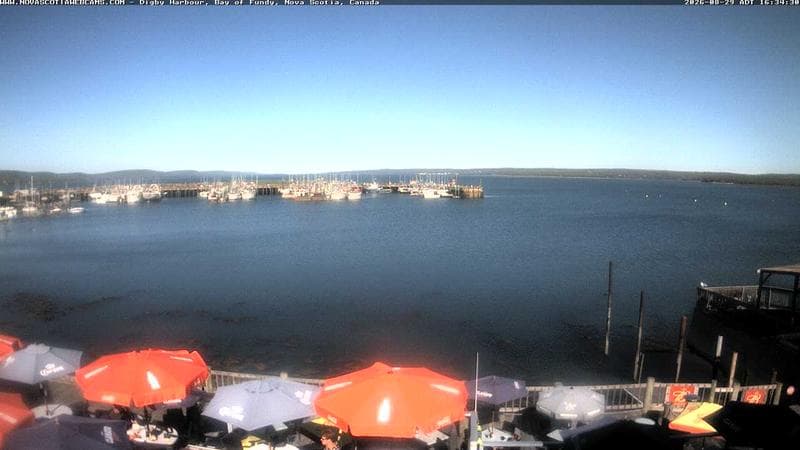Digby Harbour