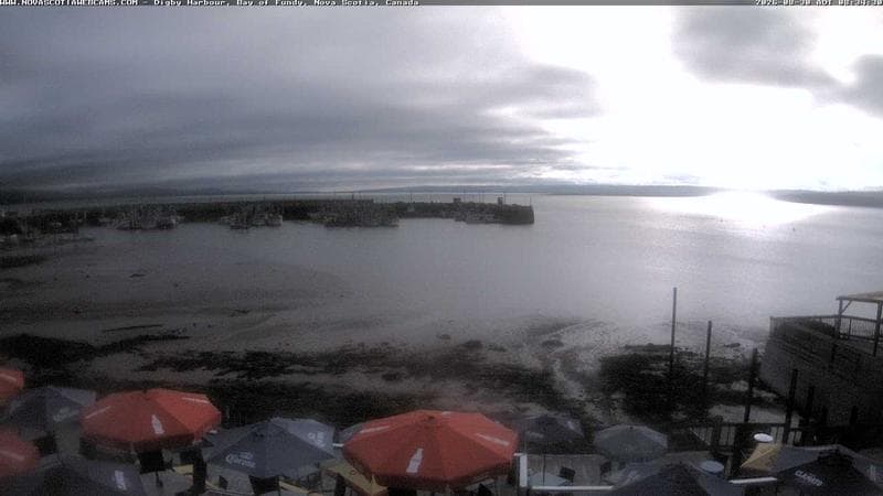 Digby Harbour