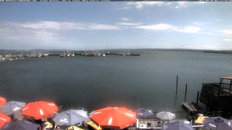 Digby Harbour