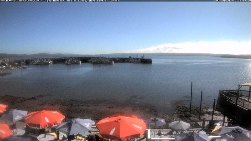 Digby Harbour