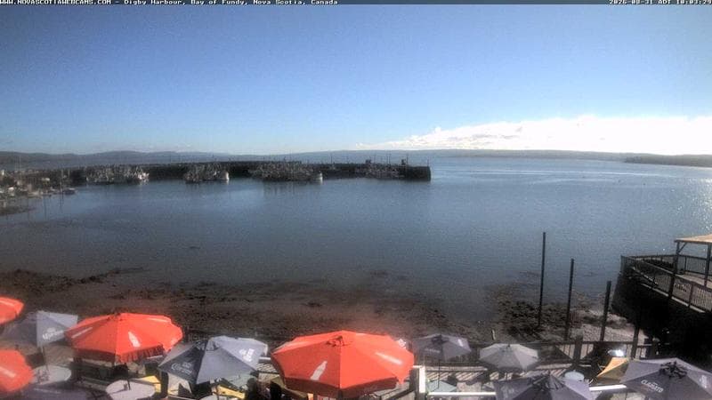 Digby Harbour