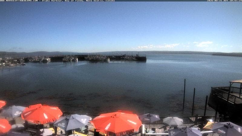 Digby Harbour