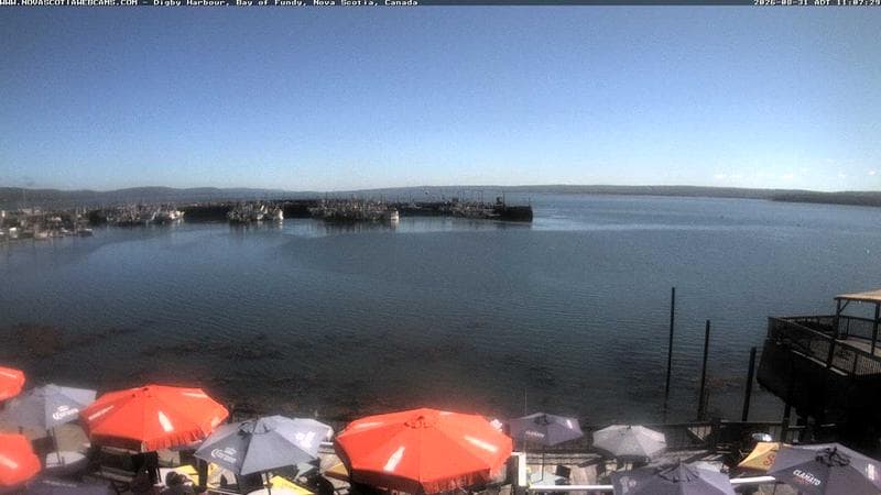 Digby Harbour