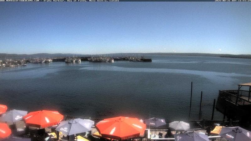 Digby Harbour