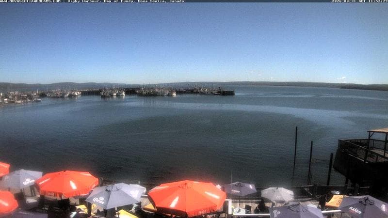 Digby Harbour