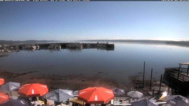 Digby Harbour