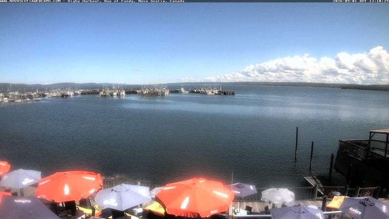 Digby Harbour
