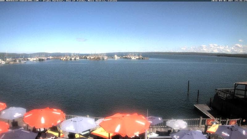 Digby Harbour