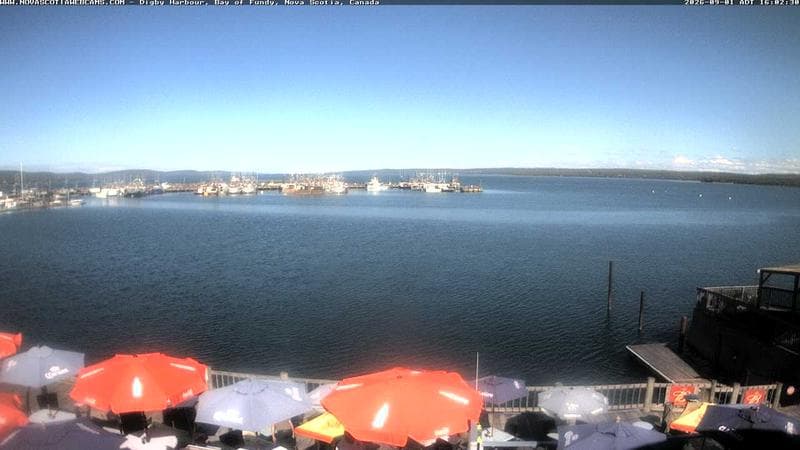 Digby Harbour