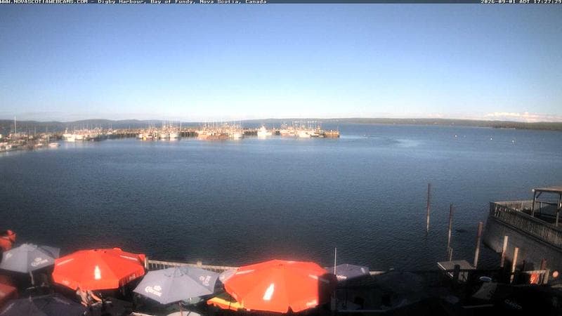 Digby Harbour