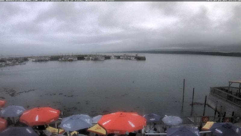 Digby Harbour