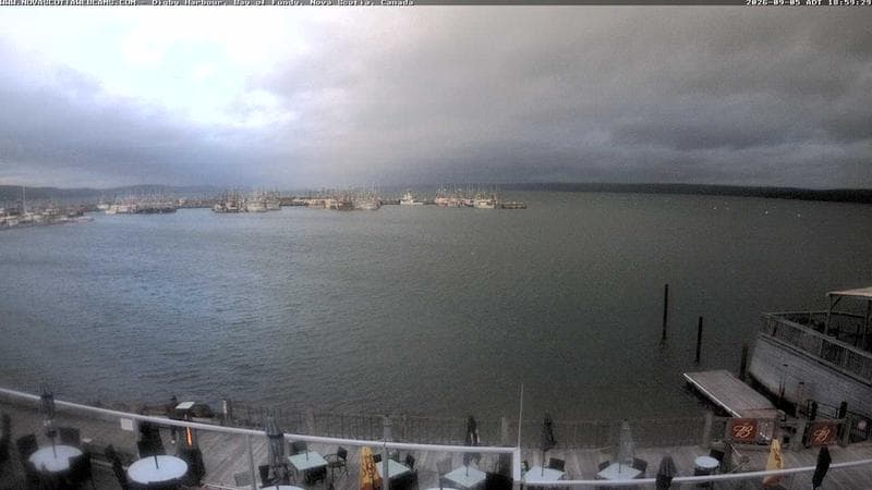 Digby Harbour