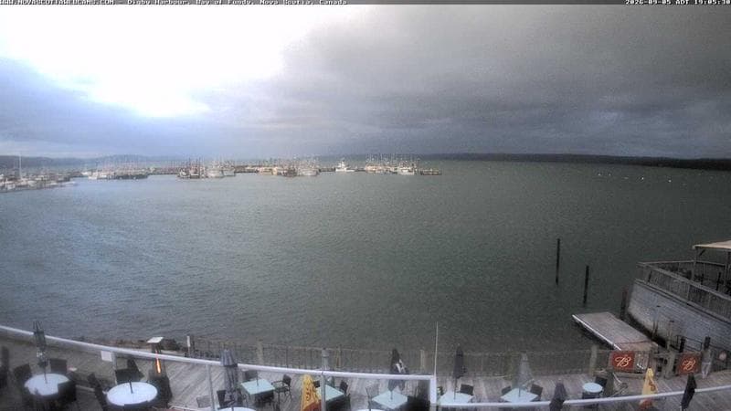 Digby Harbour