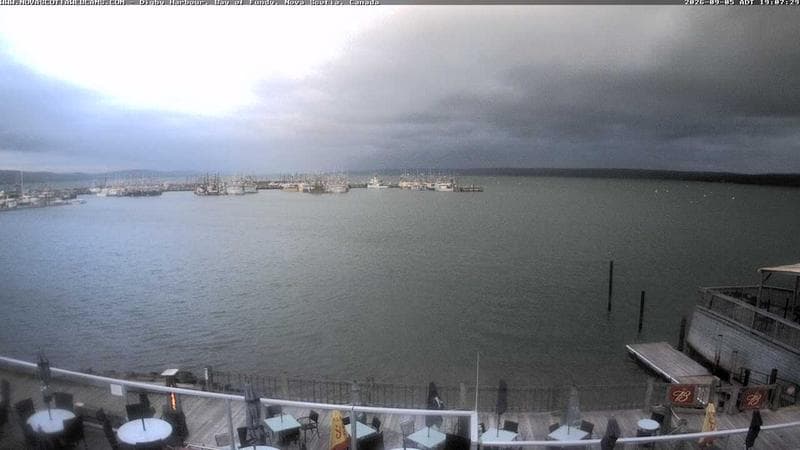 Digby Harbour