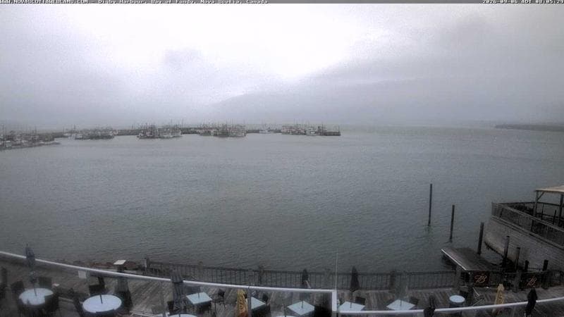 Digby Harbour
