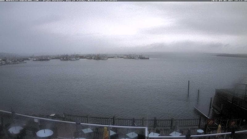 Digby Harbour