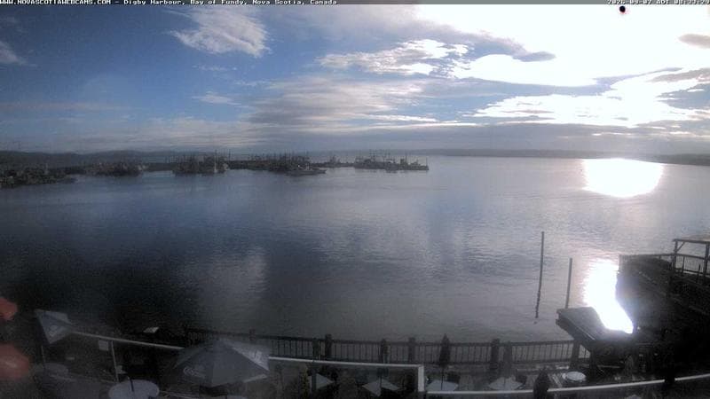 Digby Harbour