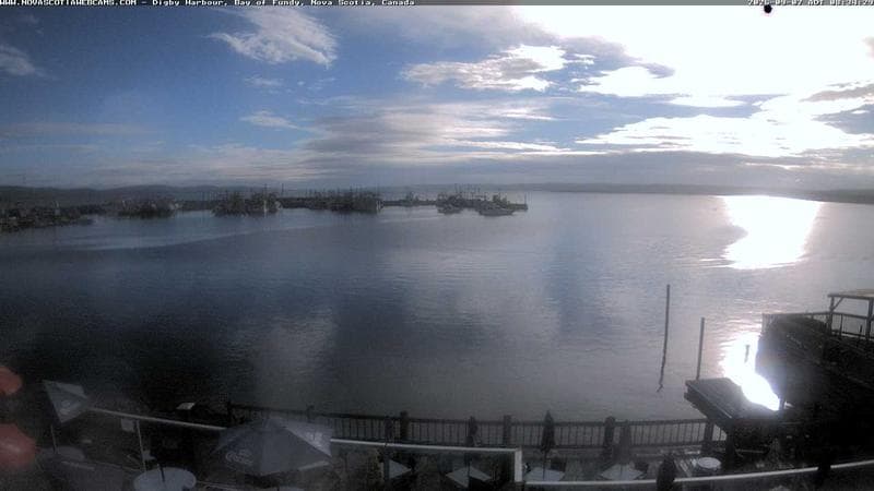 Digby Harbour
