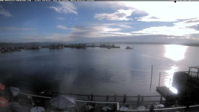 Digby Harbour