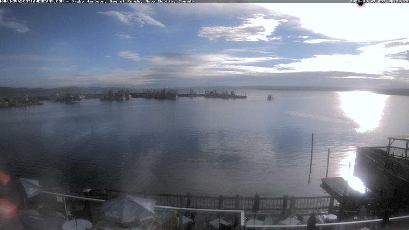Digby Harbour