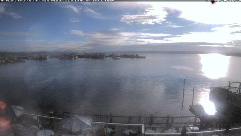Digby Harbour