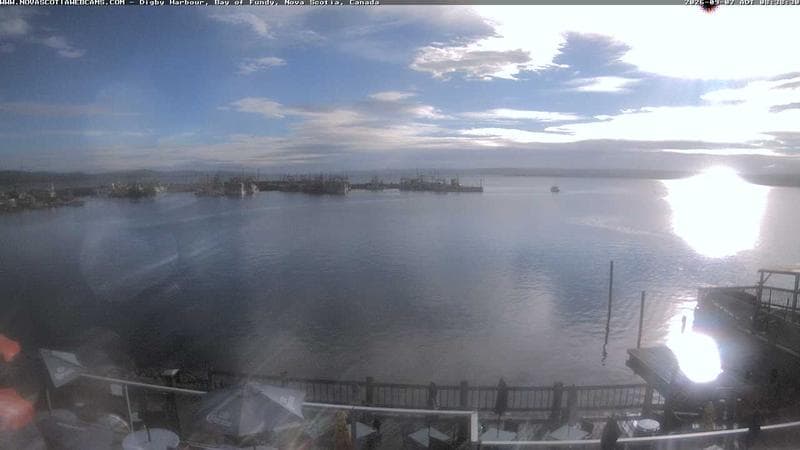 Digby Harbour