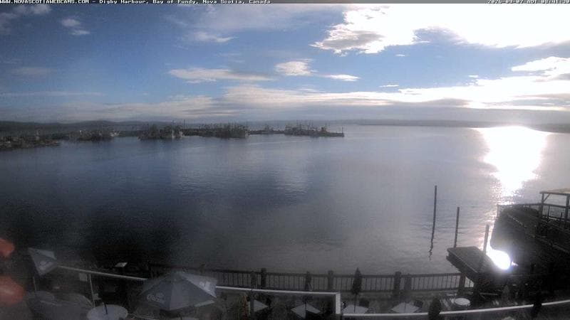 Digby Harbour