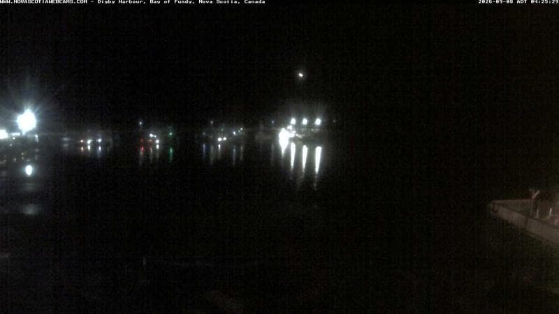 Digby Harbour
