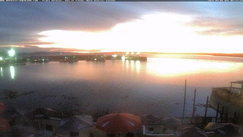 Digby Harbour