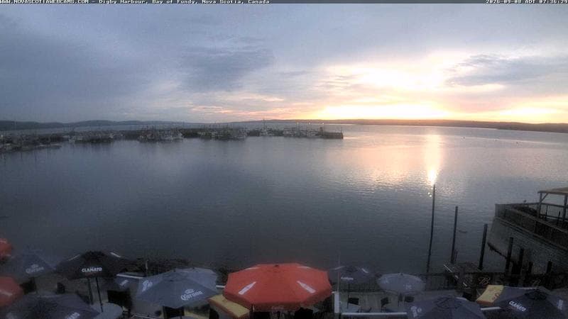 Digby Harbour