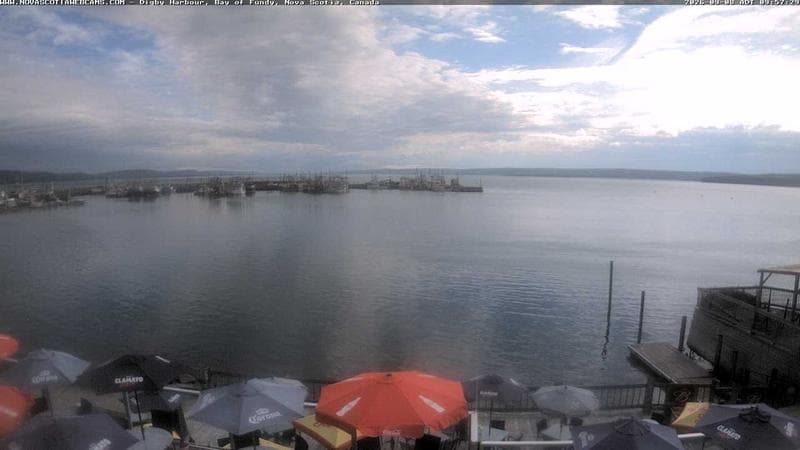 Digby Harbour