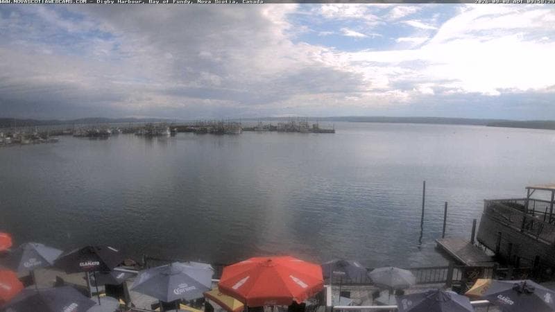 Digby Harbour