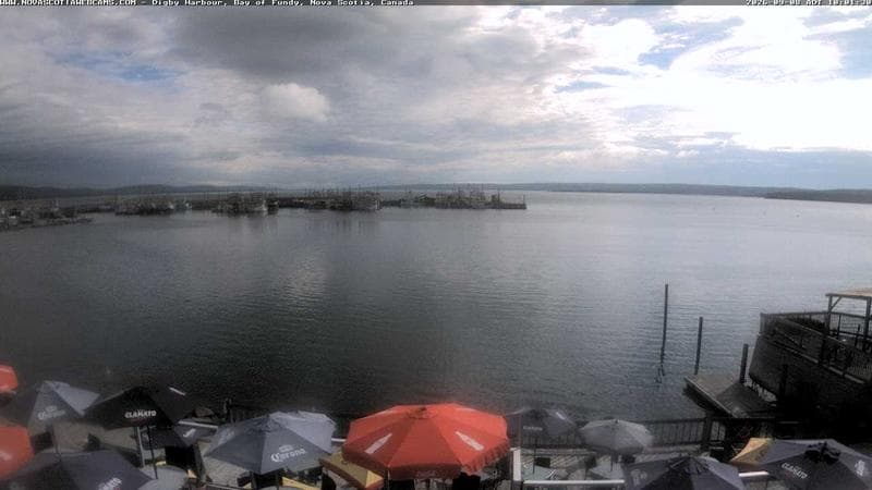 Digby Harbour