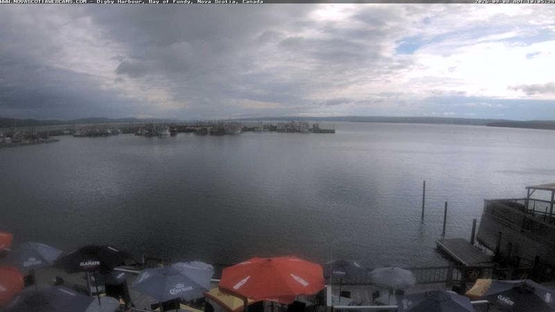 Digby Harbour
