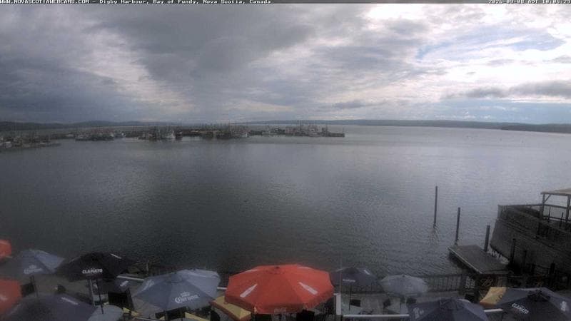 Digby Harbour