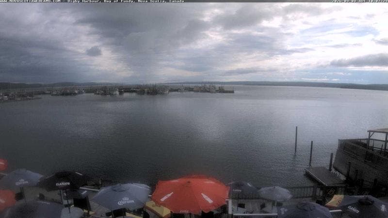 Digby Harbour