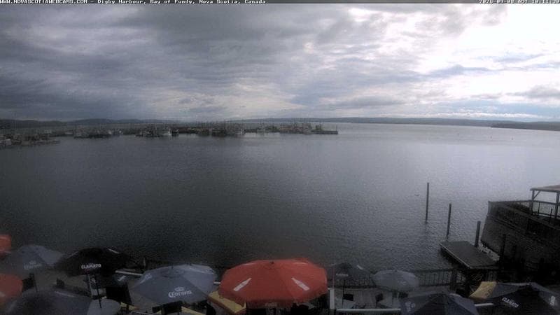 Digby Harbour