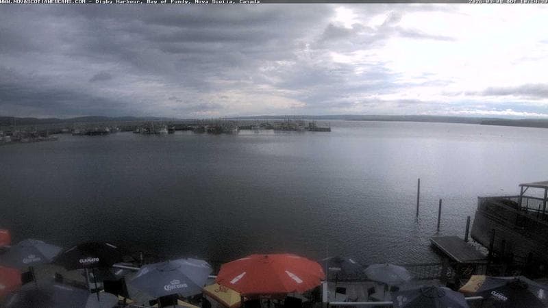Digby Harbour