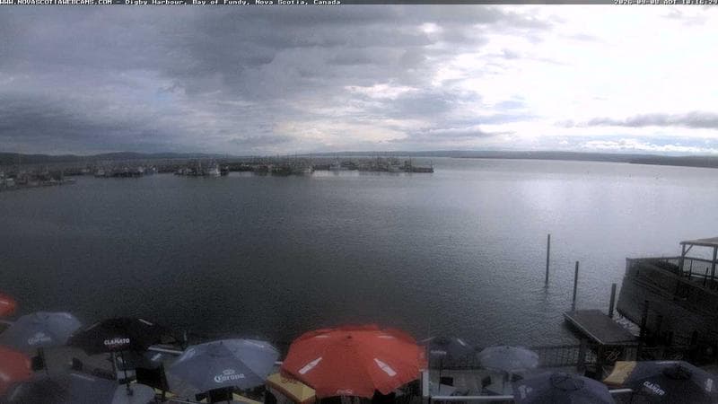 Digby Harbour