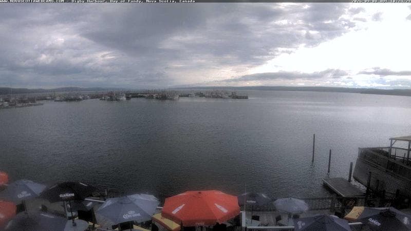 Digby Harbour