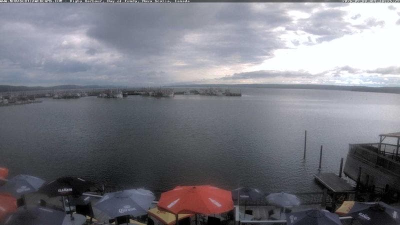 Digby Harbour