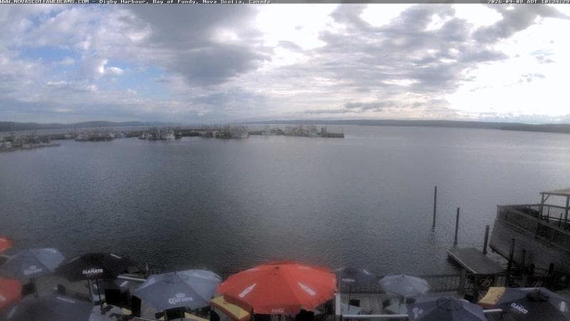 Digby Harbour