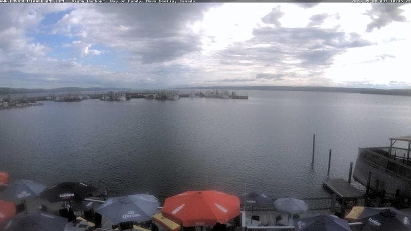 Digby Harbour