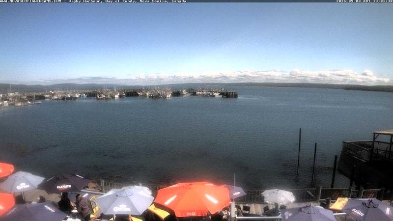 Digby Harbour