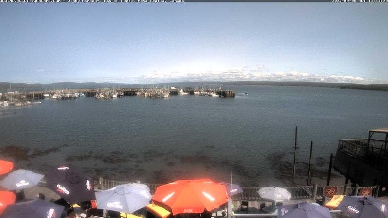 Digby Harbour