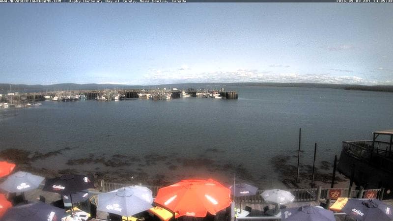 Digby Harbour