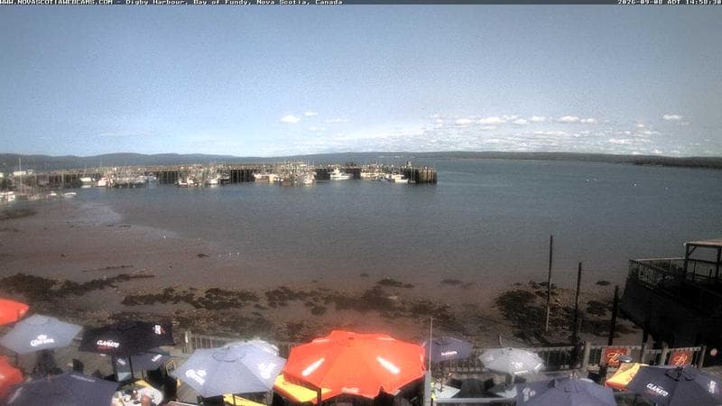 Digby Harbour