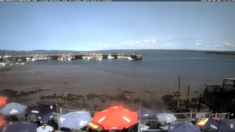 Digby Harbour